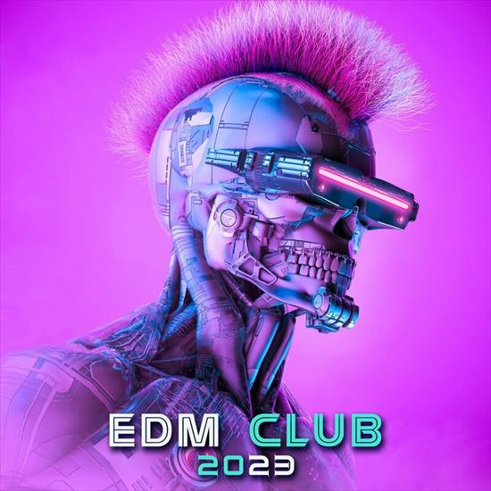 EDM Club 2023 - cover.jpg
